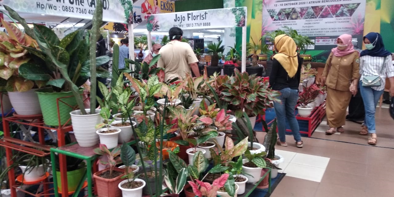 Pameran Tanaman Hias