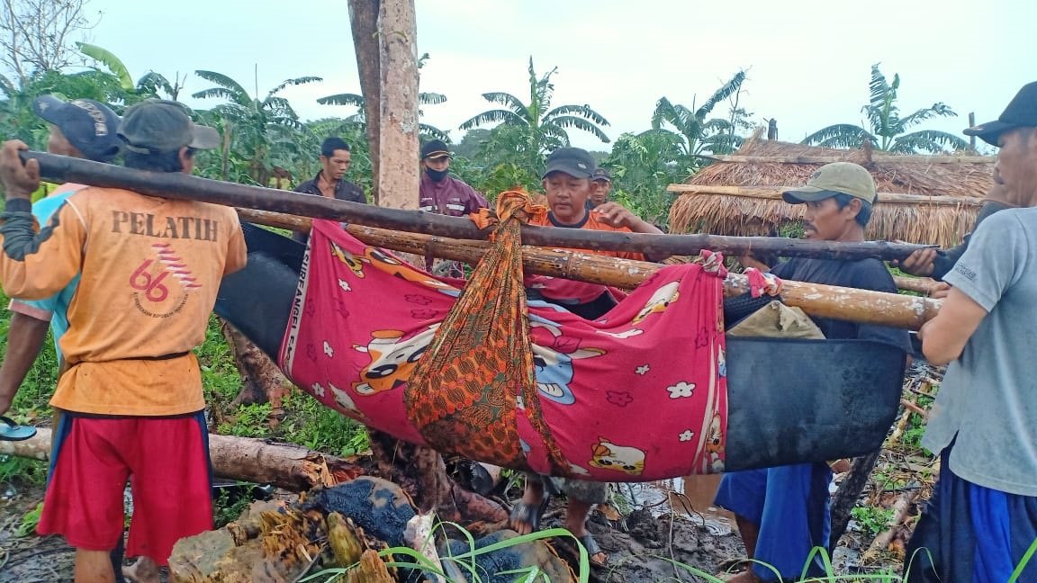 Dihantam Pohon Tumbang, Pasutri Meninggal