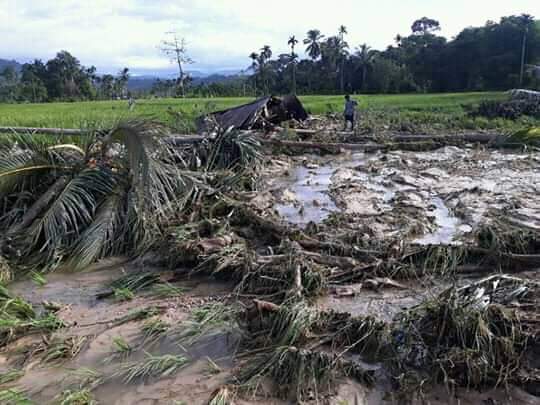 Dampak Longsor, Petani Lubuk Bangko Terancam Gagal Panen