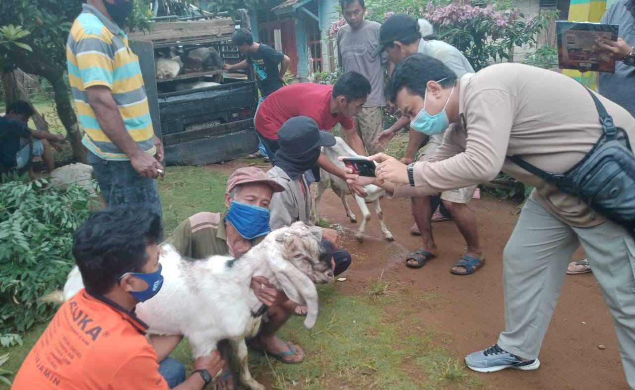 Ternak Kambing Dongkrak Ekonomi Warga