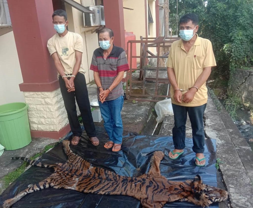 Polda Gagalkan Perdagangan Organ dan Kulit Harimau