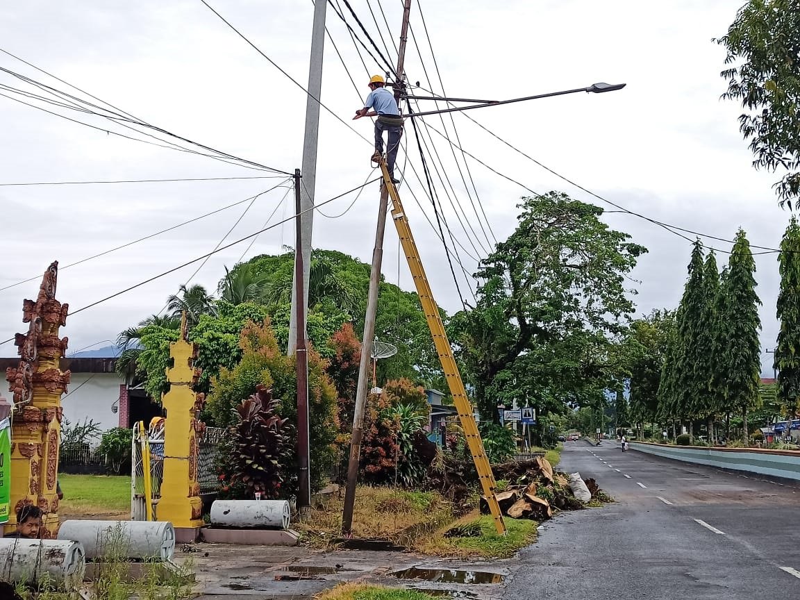 Pohon Roboh Timpa Kabel Listrik