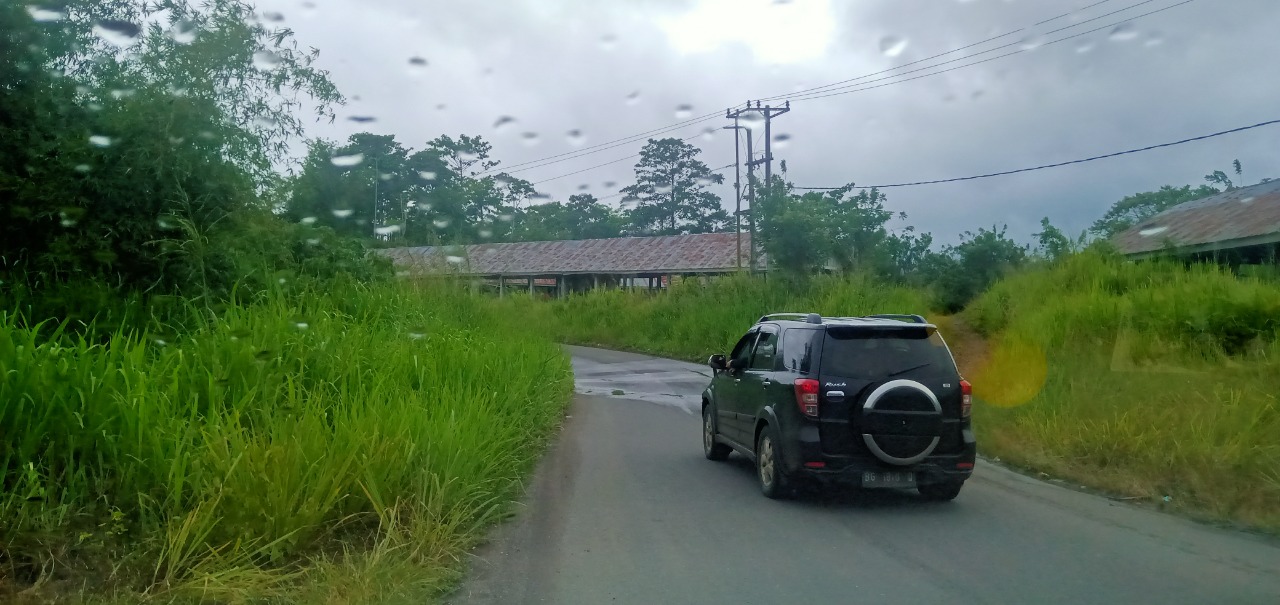 Rumput Liar Sepanjang Jalan Provinsi Resahkan Pengendara