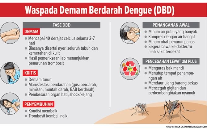 DBD Mulai Menyerang, Bupati Minta Masyarakat Disiplin