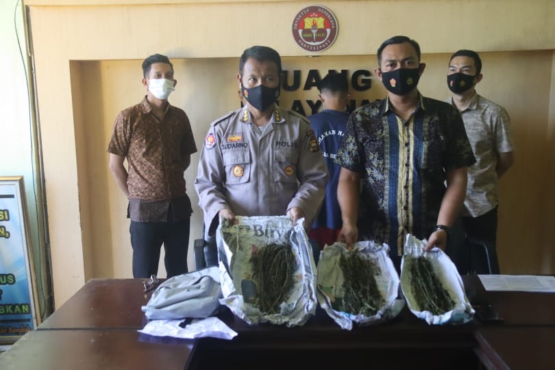 Miliki Ganja, Mahasiswa dan Pelajar Ditangkap