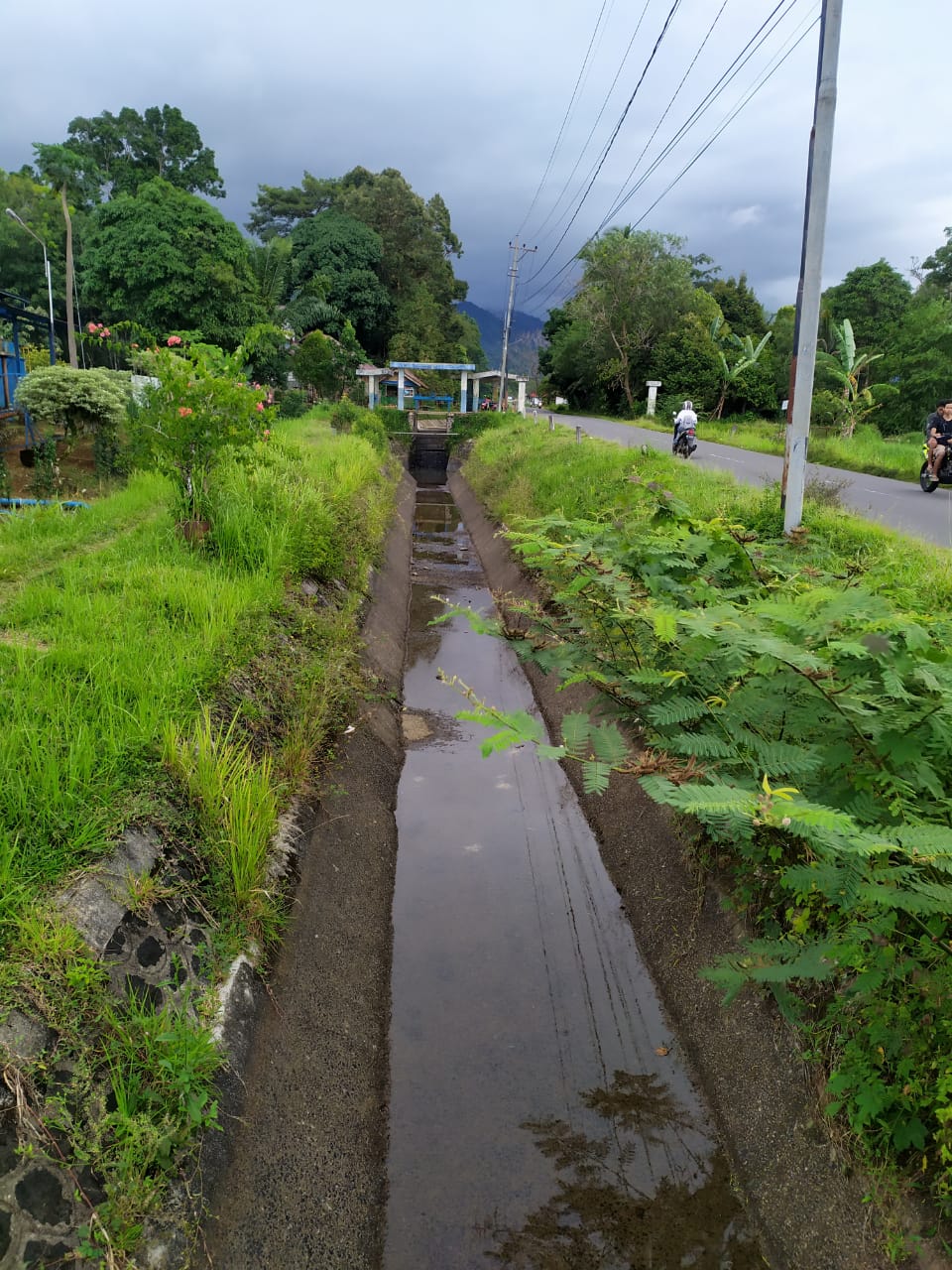 Irigasi Kemumu Jebol, Ratusan Ha Sawah Terimbas