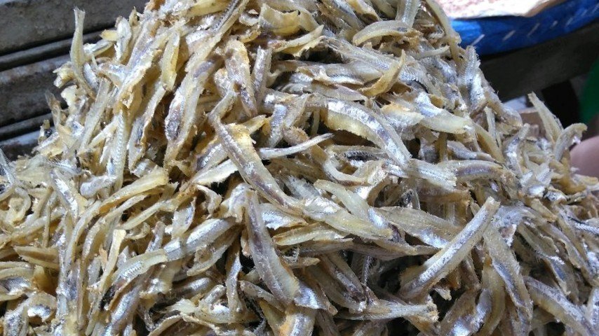 BBM Langka, Nelayan Panen Ikan Teri