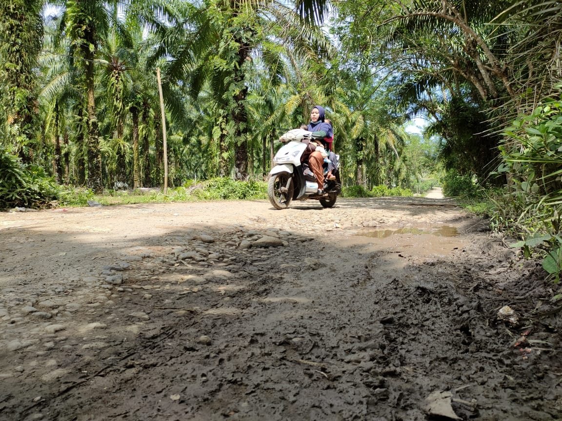 Warga Lubuk Tanjung Tunggu Pembangunan Jalan