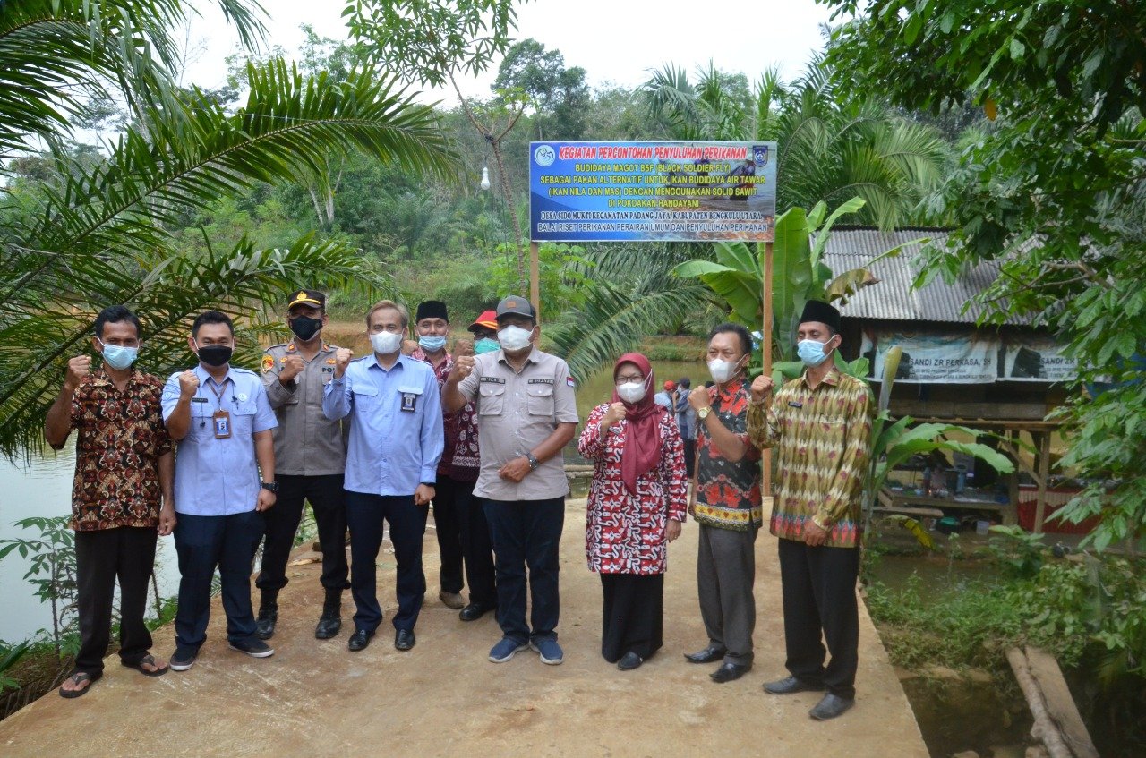 Puslatluh KP Mulai Kembangkan Maggot BSF di Bengkulu Utara