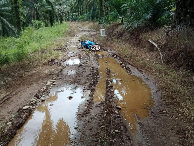 Jalan Desa Maju Makmur Perlu Sentuhan Pemkab Mukomuko