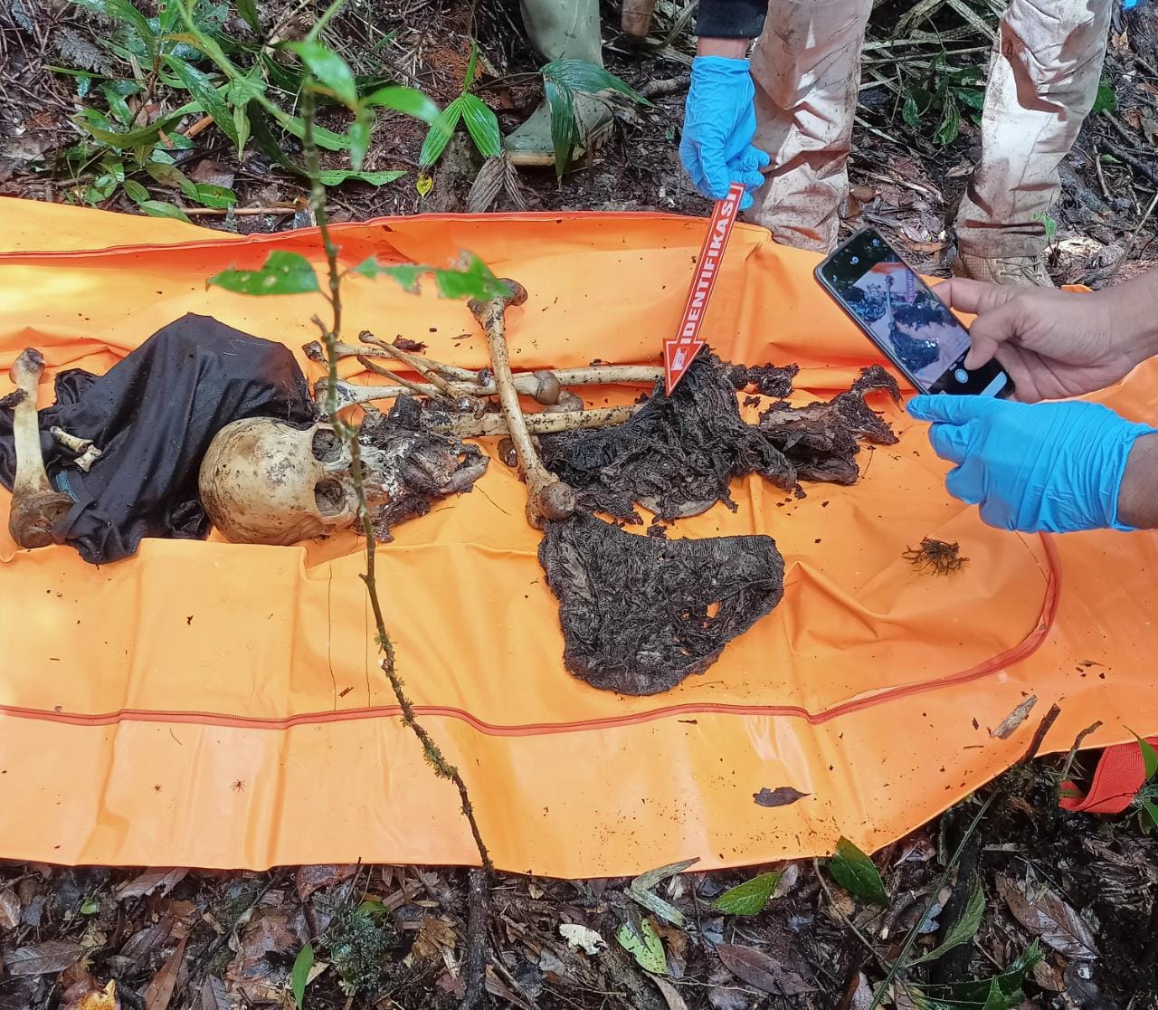 Tulang Belulang di Kawasan Hutan Lindung, Merupakan Tengkorak Manusia