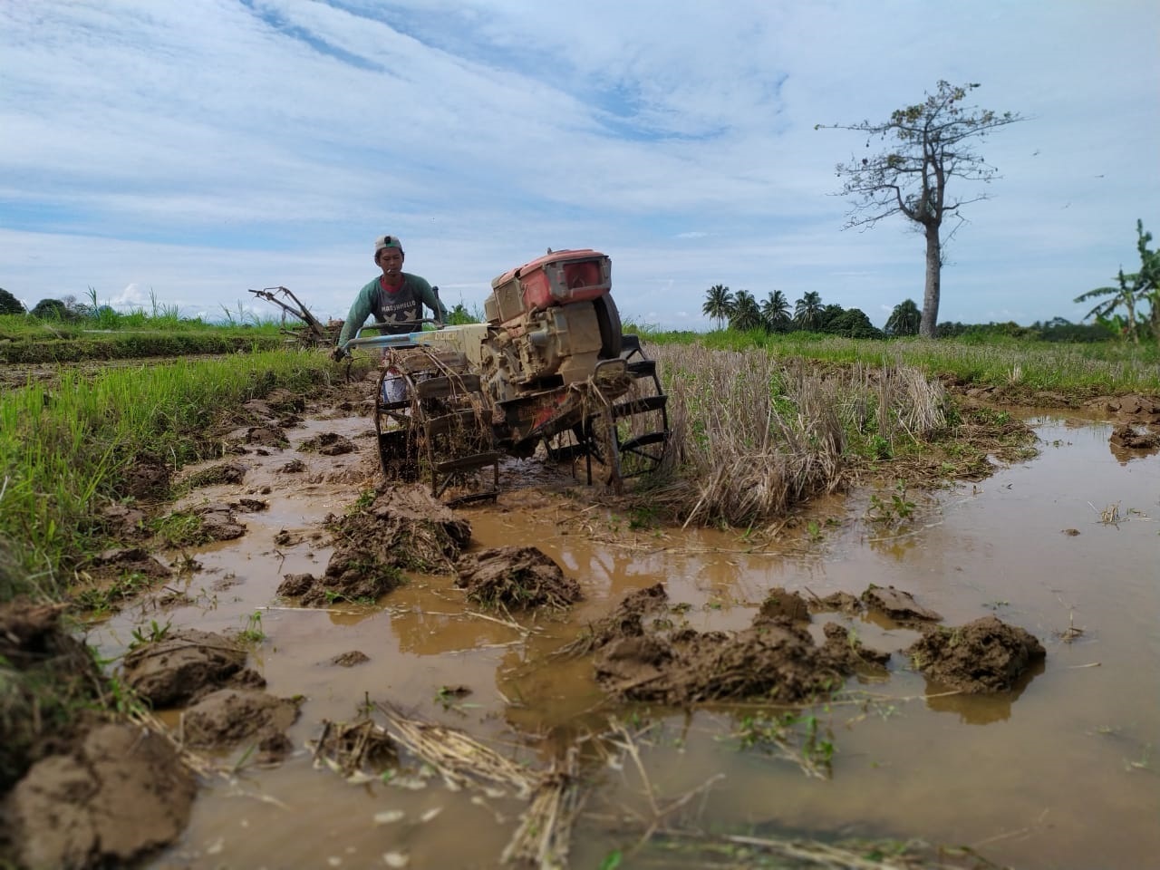 Perlu Regulasi Kawasan Khusus Pertanian