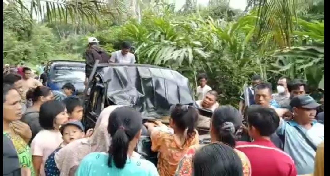 Pohon Tumbang Timpa Mobil Pengangkut Pasir