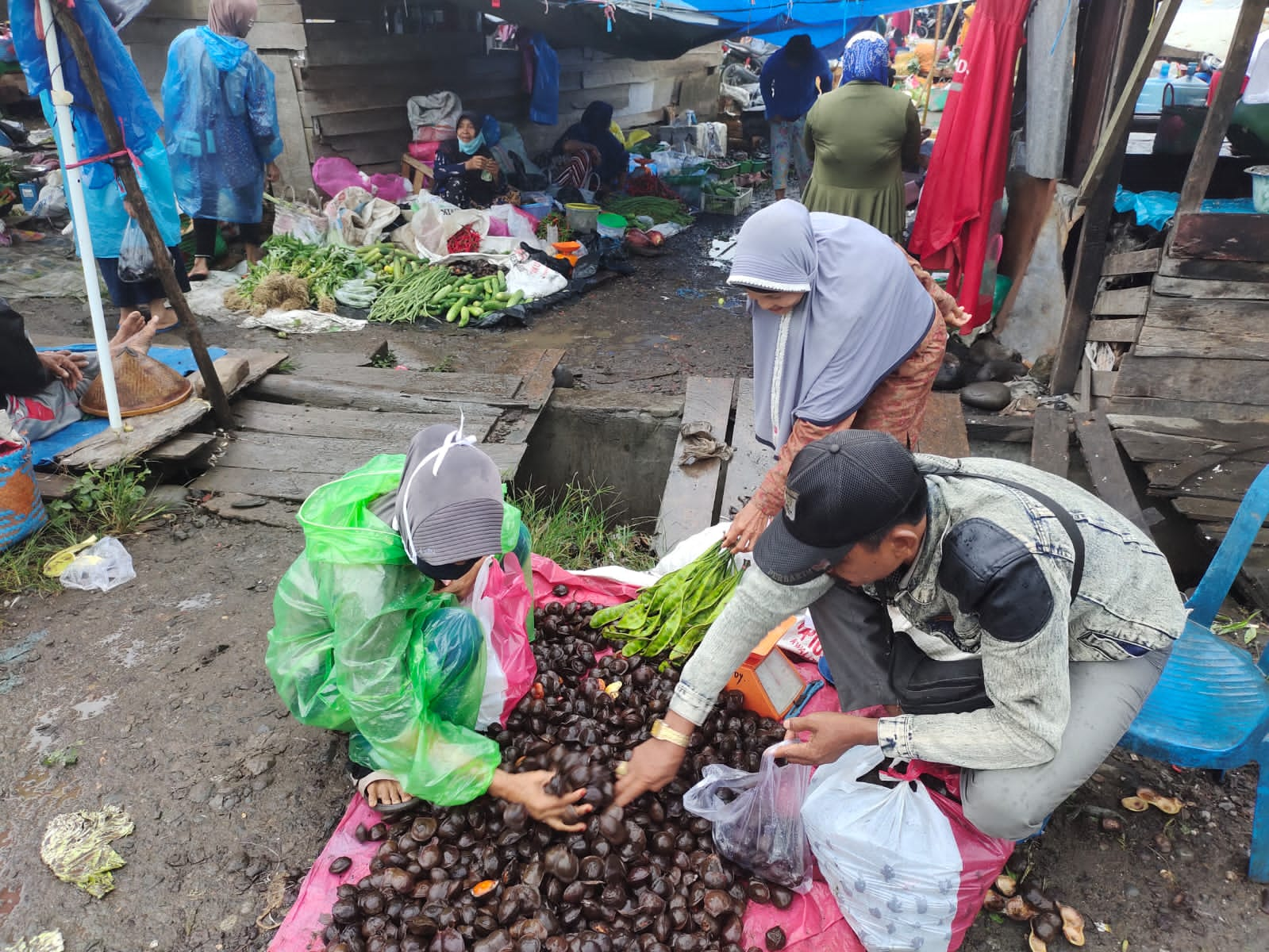 Harga Cabai di Pasaran Turun, Giliran Tomat Meroket