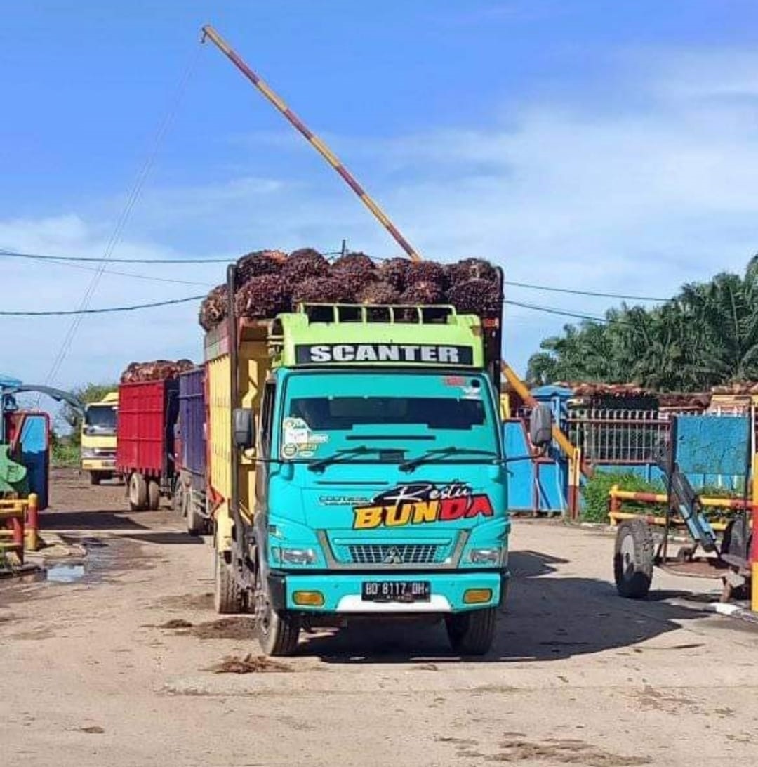 Kesejahteraan Petani Sawit Diyakini Meningkat