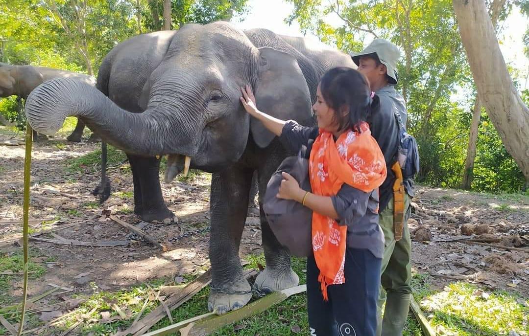 Penyelamatan KEE Koridor Gajah Dinilai Mendesak