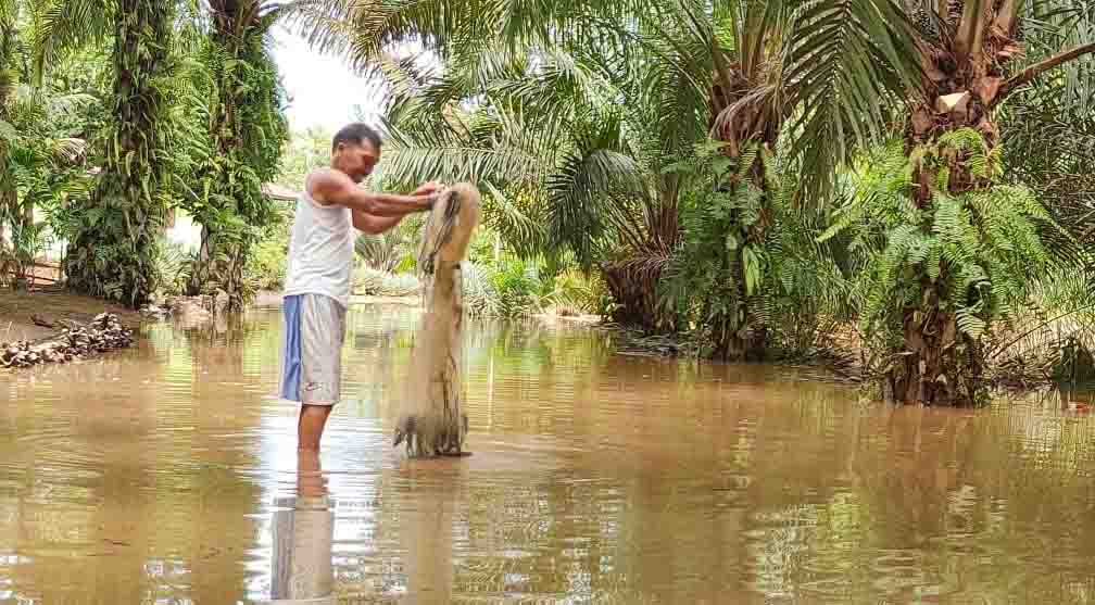 Di Tengah Banjir, Warga Asik Menjala Ikan