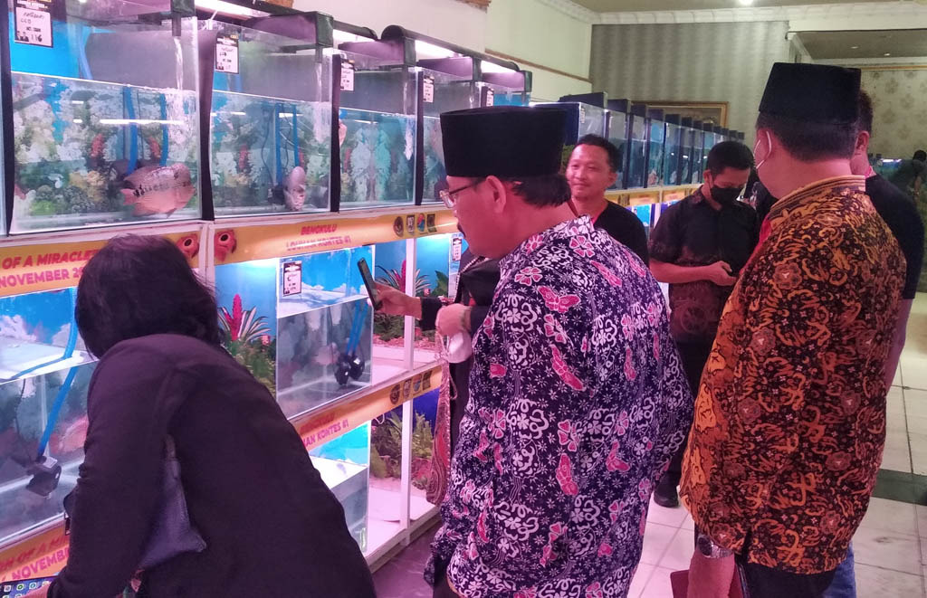 Pemprov Dorong Pengembangan Ikan Louhan