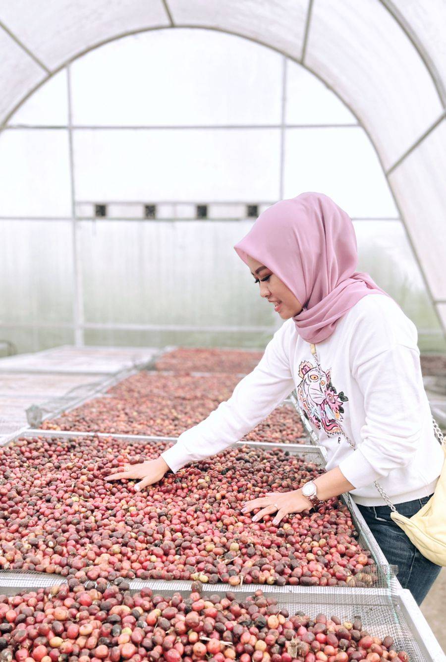 Pemuda Tani Dorong Petani Kopi Naik Kelas