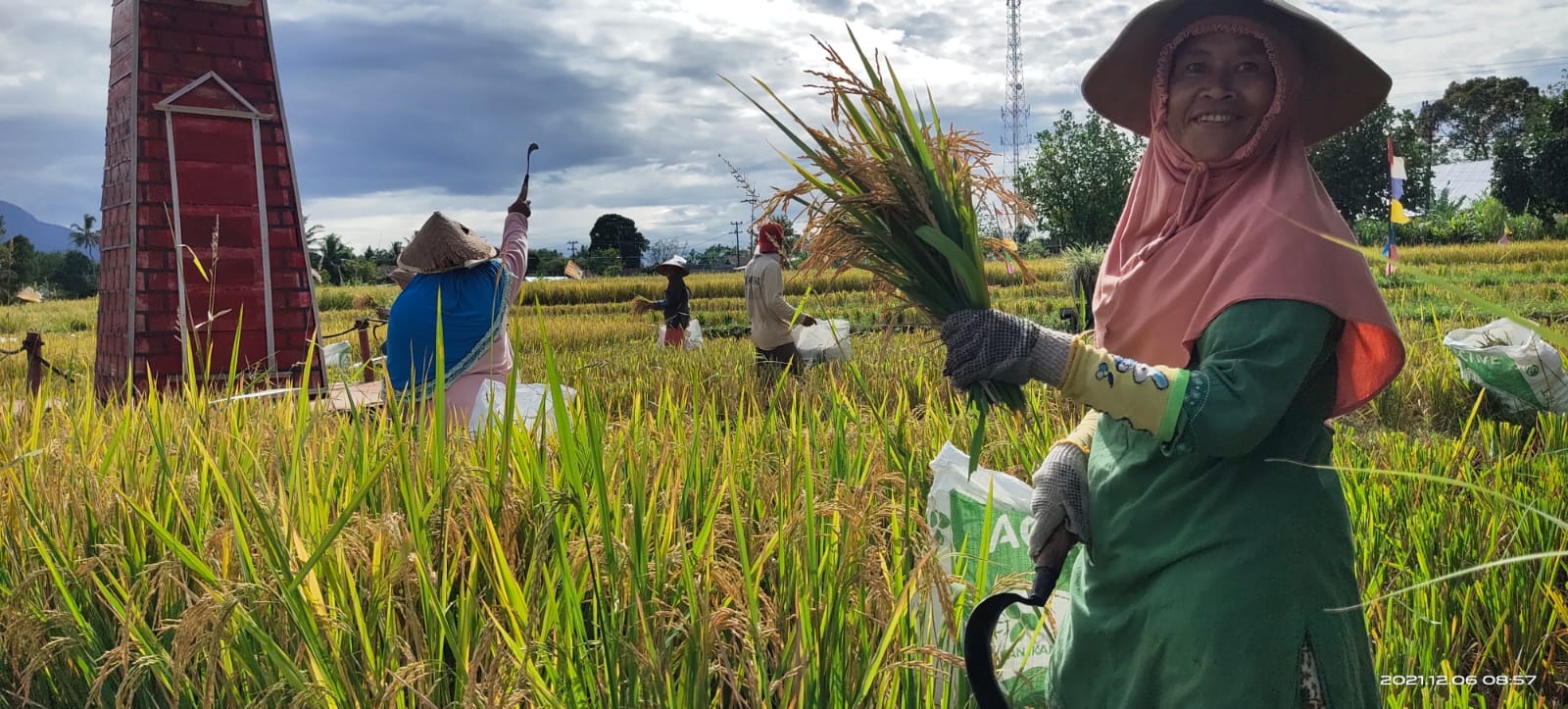 Kasus “Patah Leher” Ancam Petani