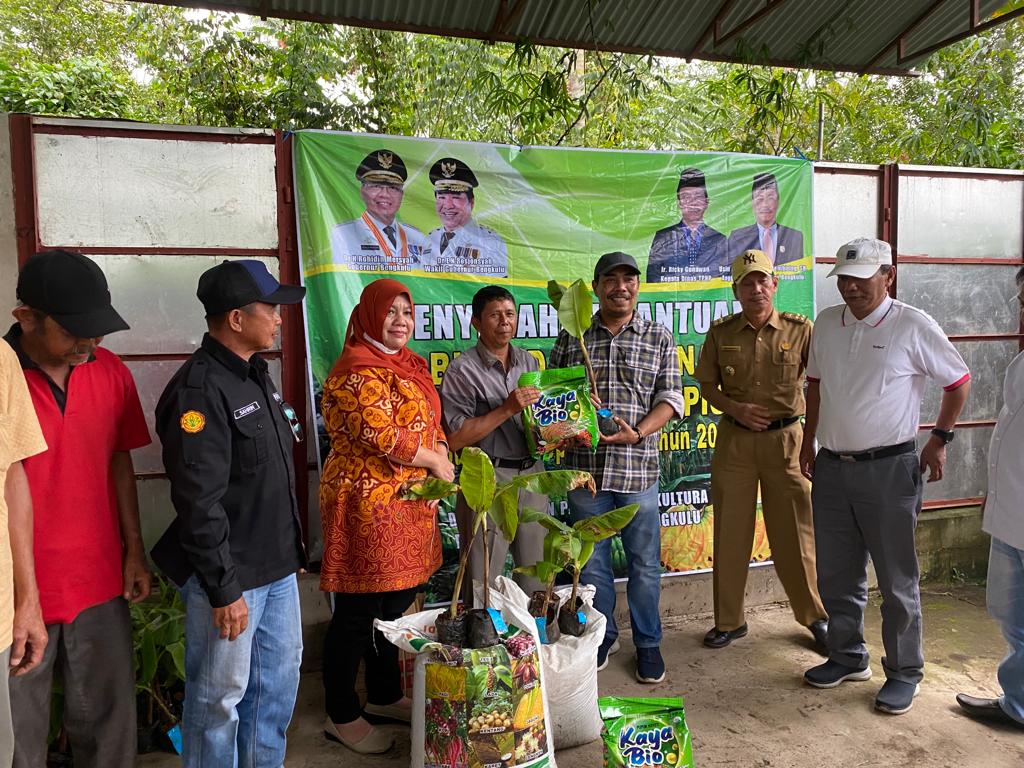 Optimalkan Pemanfaatan Lahan, Warga Didorong Tanam Pisang