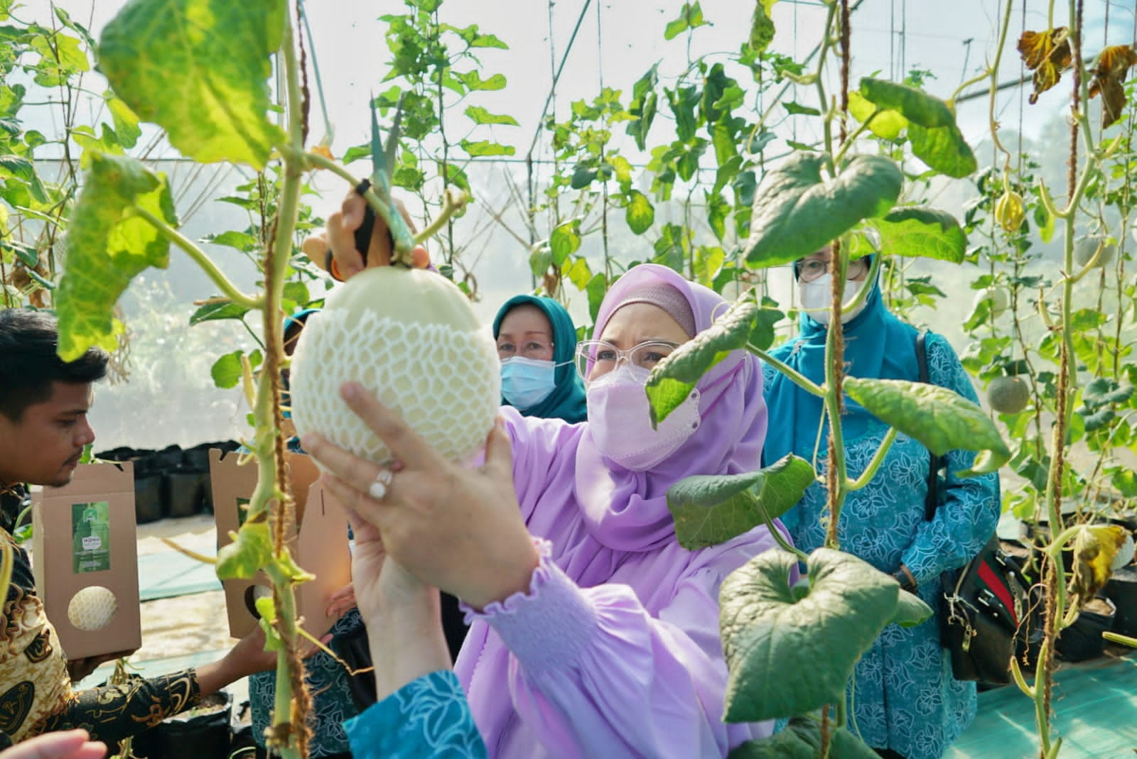 Dukung Petani Milenial, PKK Provinsi Promosi dan Pasarkan Produk