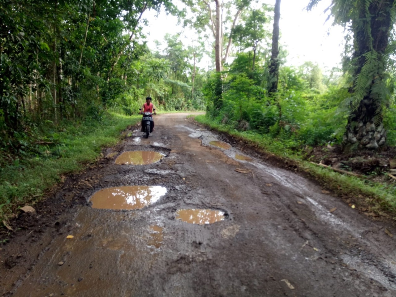 Warga Kota Arma Minta Perbaikan Jalan