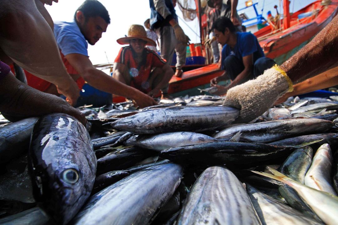 Nelayan Kesulitan Pasarkan Ikan