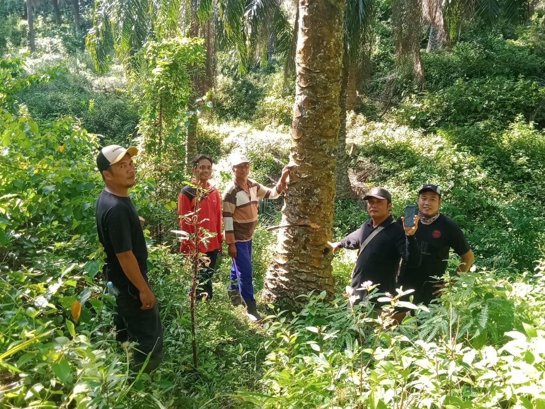 Diminta Sinkronkan Patok Kebun Kas