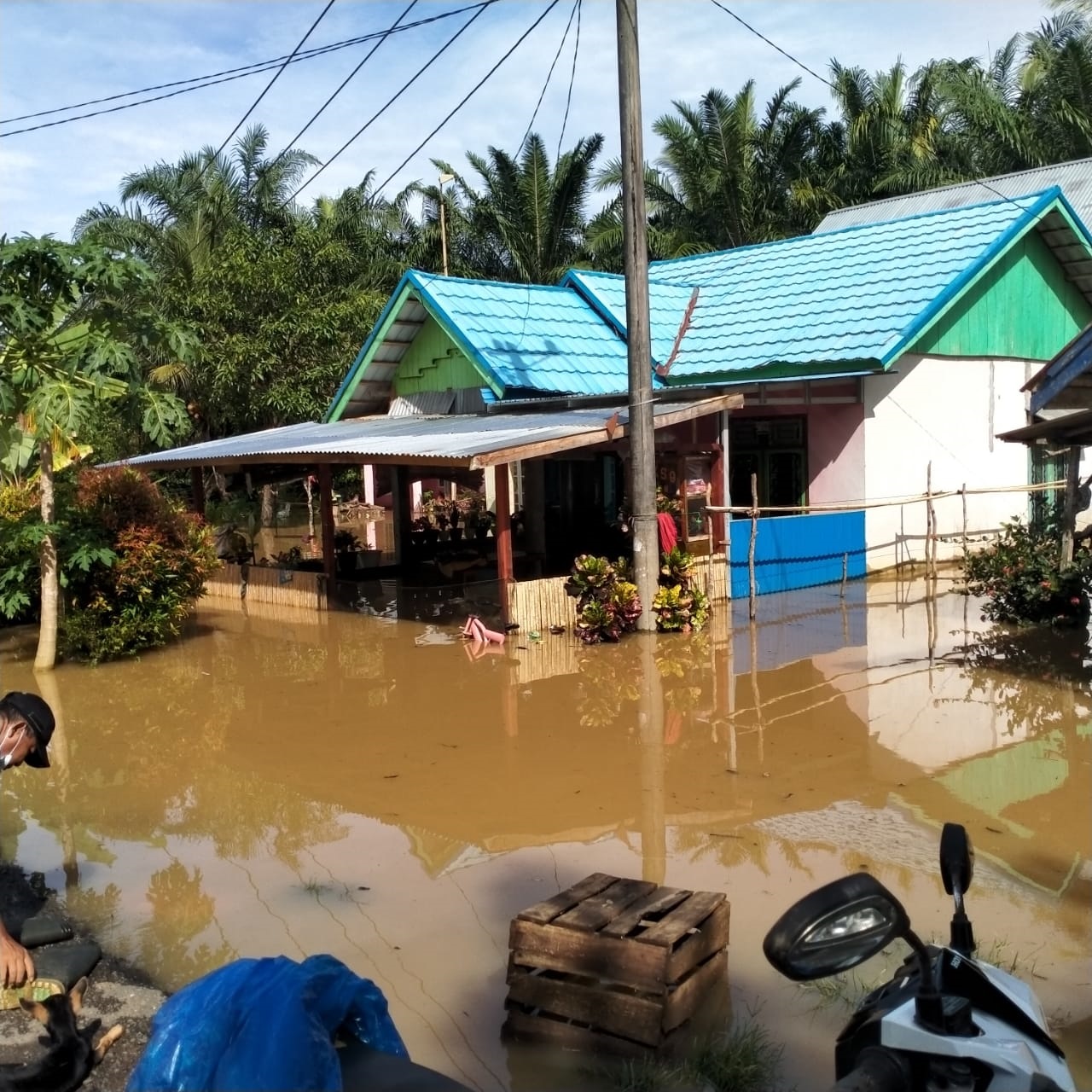 Minta Pembangunan Tanggul