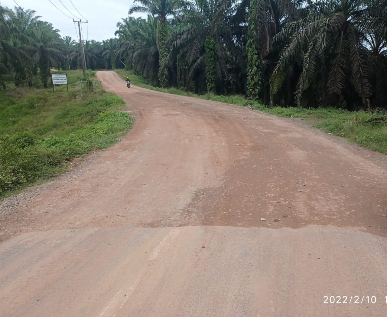 Bangun Jalan, Pemkab Harus Pertegas Peran MPM