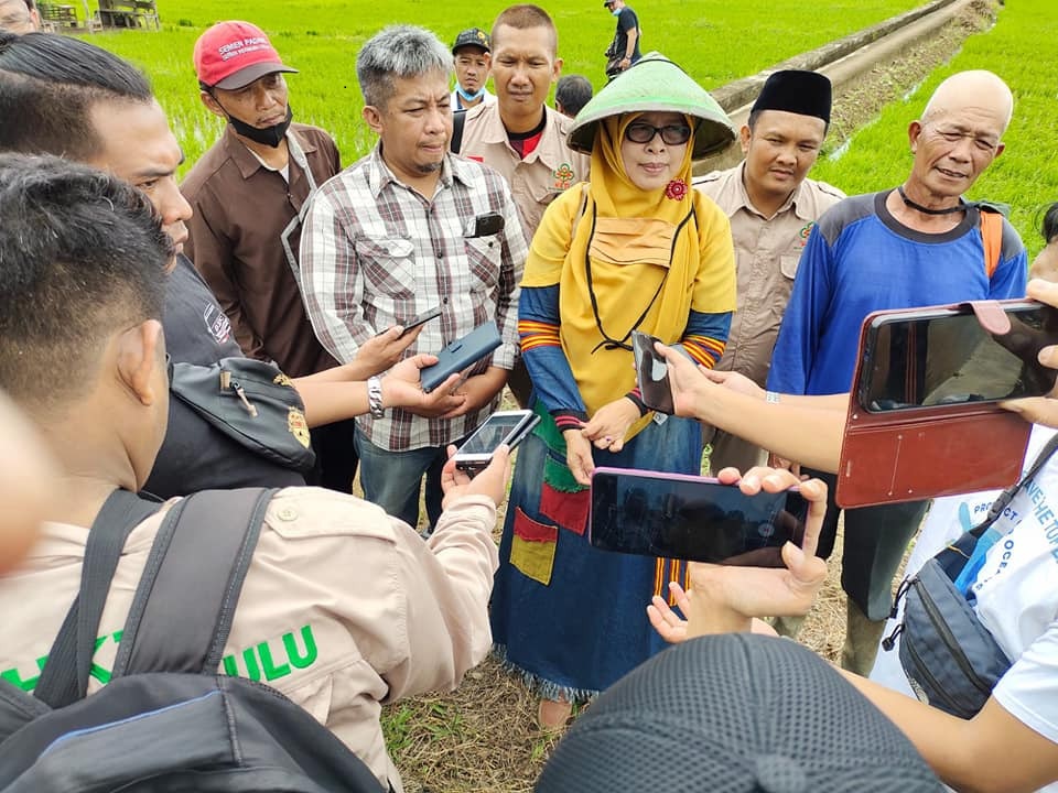 Debit DDTS Disebut Tak Lagi Mampu Airi Sawah Petani