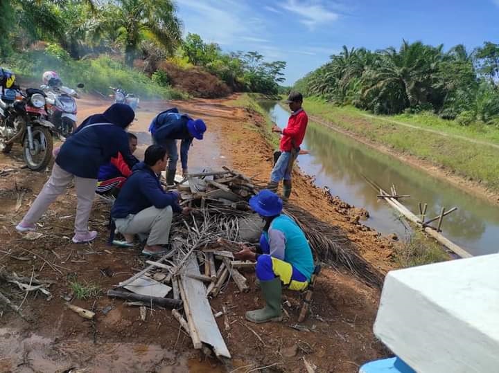 Saatnya, Ada Nama Beras Asli Mukomuko