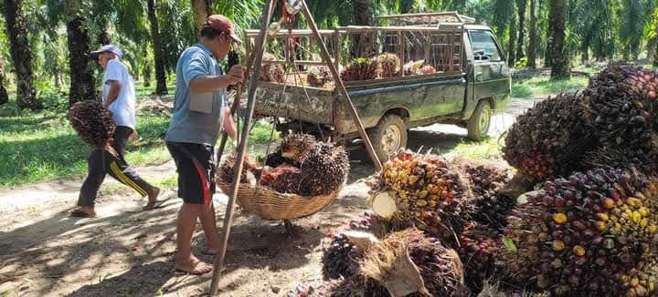 Kapolres Mukomuko Himbau Pengepul Jangan Asal Beli Sawit