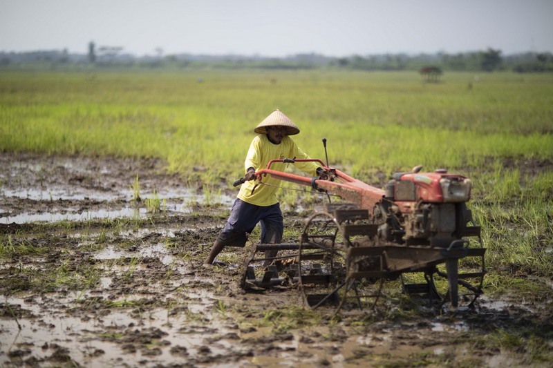 DTPHP Provinsi Bengkulu Bagikan Alsintan untuk Petani