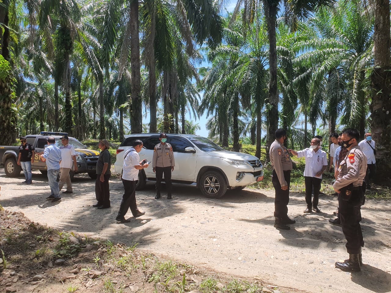 Pemda Bengkulu Utara Berencana Ambil Hasil TBS dari Lahan Hibah Agricinal