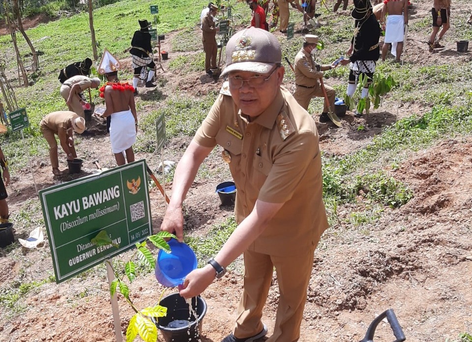 Tanam Kayu Bawang, Bengkulu Siap Berkontribusi Bagi IKN