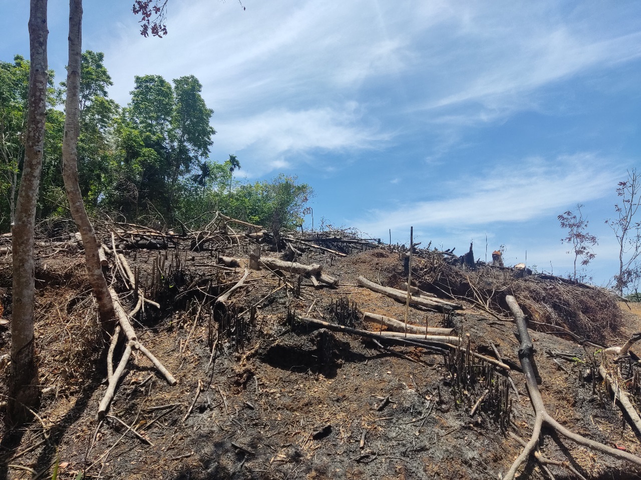 Kemarau, Jangan Bakar Lahan