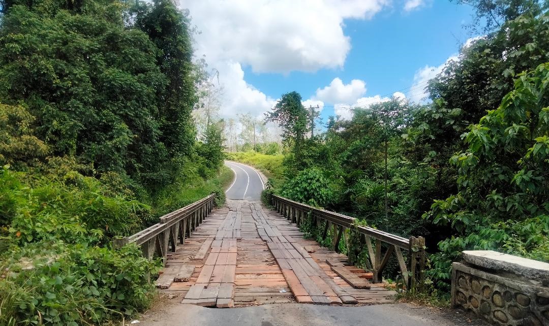 Diminta Tangani Dua Jembatan di MSS