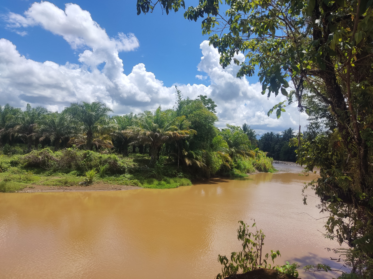 Air Sungai TAP Mirip Kolam Ikan