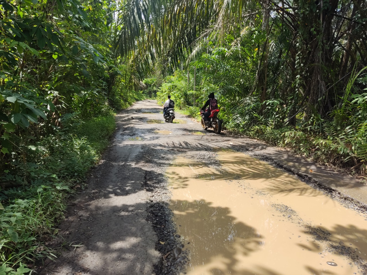 Ada Kubangan Kerbau di Tengah Jalan Air Besi