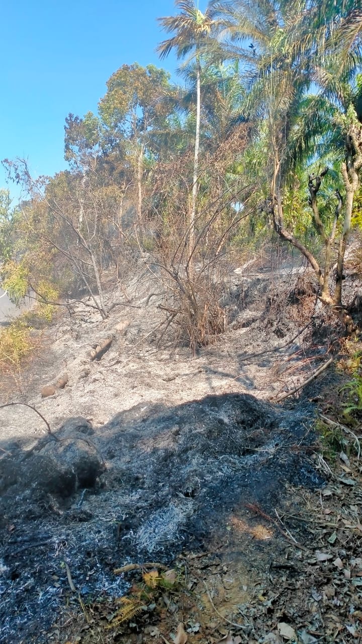 Kebakaran Lahan Mengintai