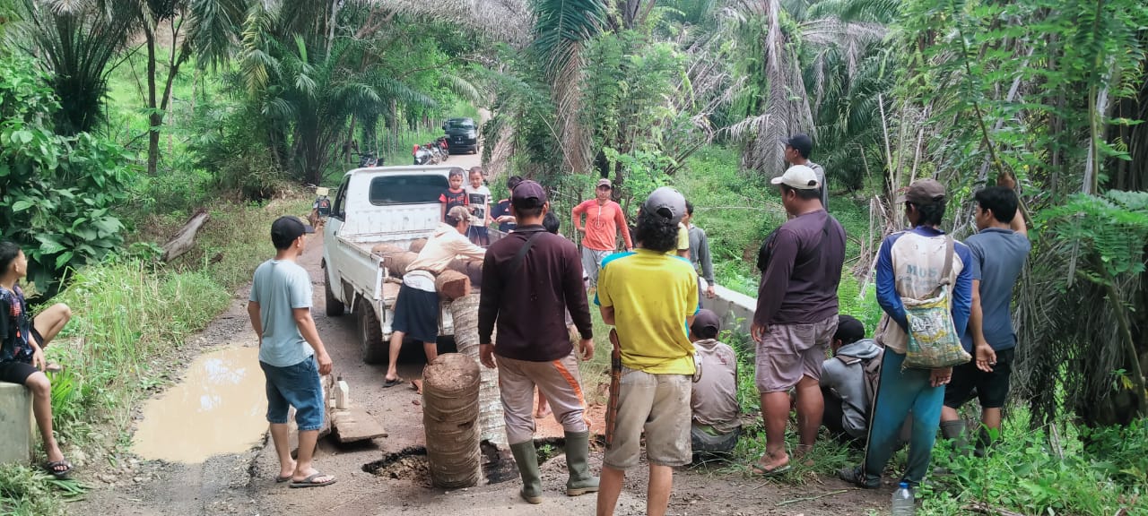 Gunakan Pohon Kelapa, Warga di Bengkulu Gotong Royong Perbaiki Jalan Milik Provinsi