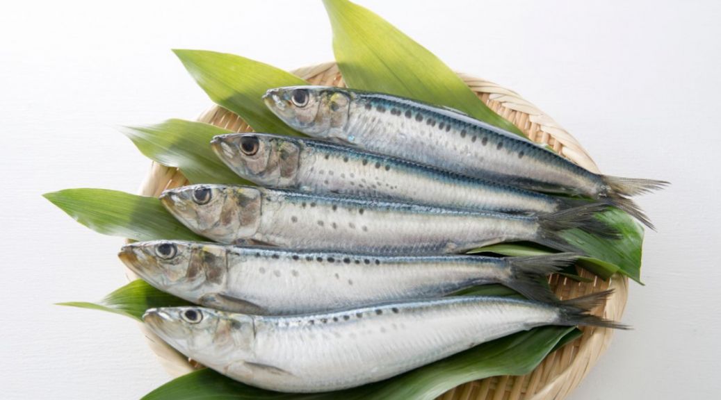 Selain Susu, Ini 8 Makanan yang Mengandung Kalsium Tinggi dan Mudah Didapatkan