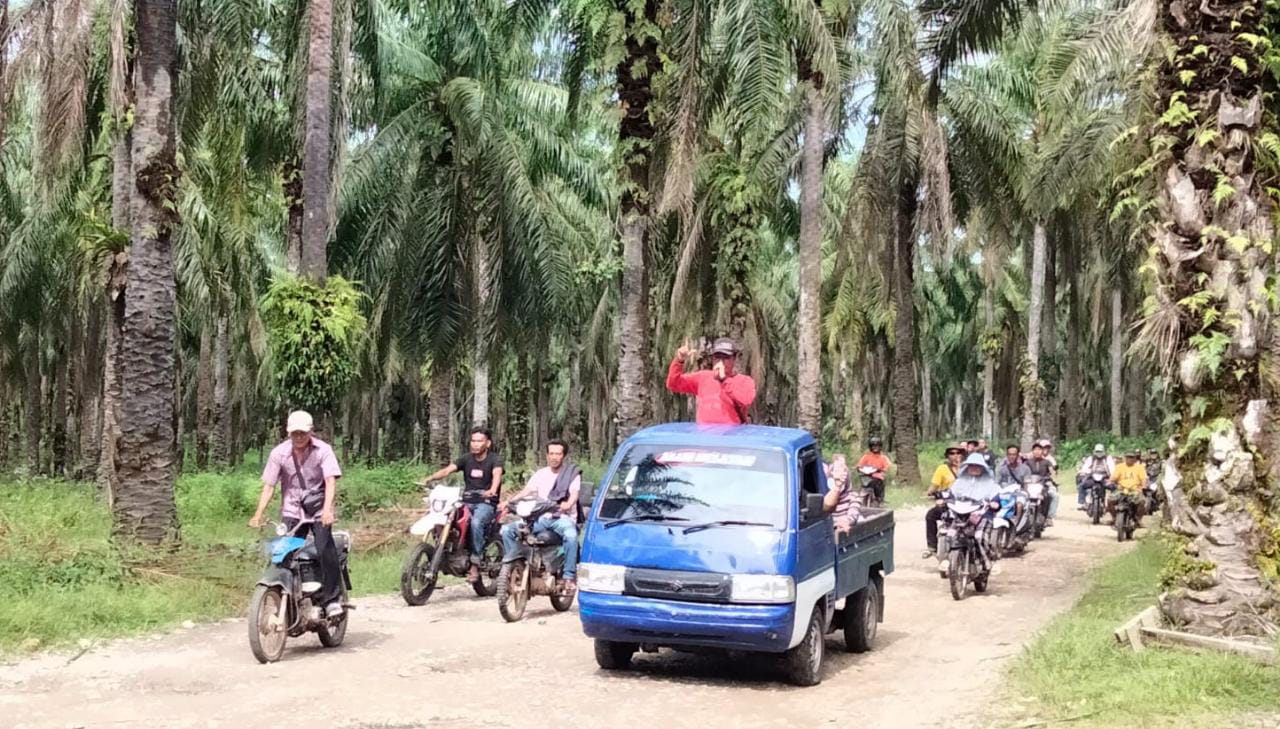 Ratusan Masa Mulai Kepung Kantor PT Agricinal