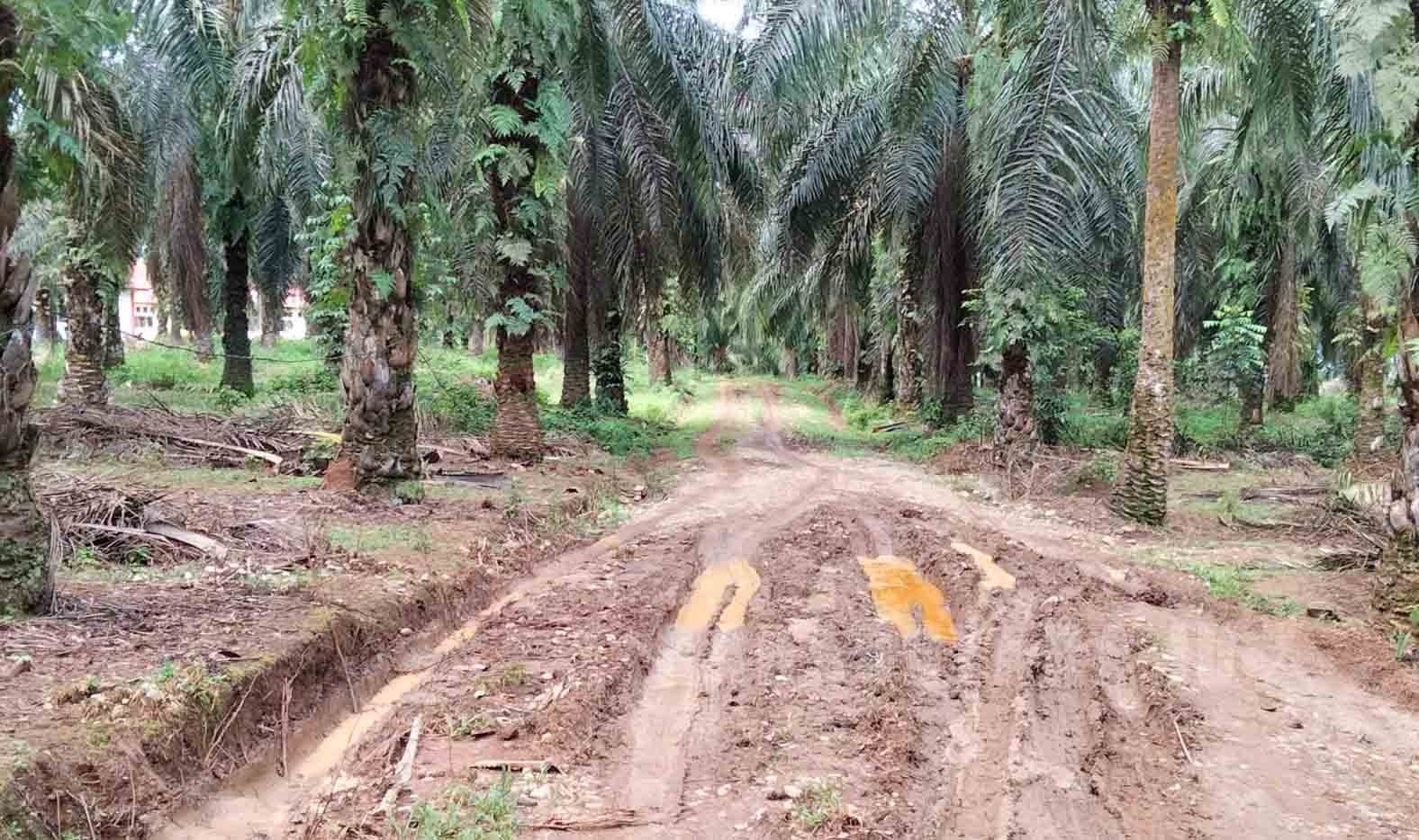 Berharap Pembangunan Akses Jalan Menuju SMAN 16 Bengkulu Utara Dituntaskan Tahun ini