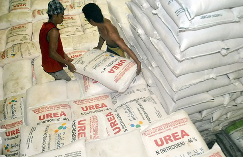 Pupuk Subsidi Aman, PPL Minta Kelompok Tani Aktif Laporkan Kendala