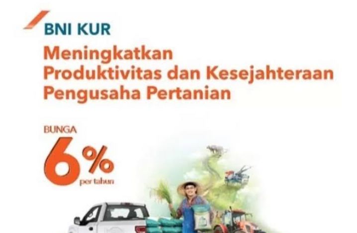 Modal 4 Dokumen Bisa Ajukan Pinjaman KUR BNI via Online, Engga Pake Ribet, Tembus Rp50 Juta