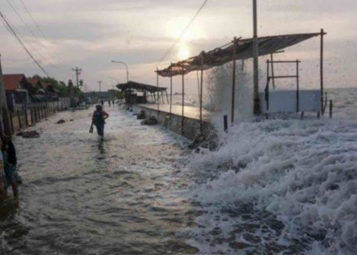 Masyarakat Pesisir Pantai Diminta Siaga dan Waspada Dampak Banjir Rob