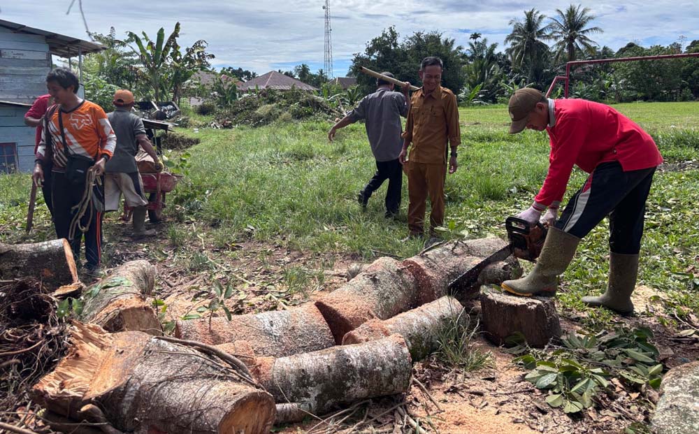 Fantastis, Sapi Kurban Desa Padang Jaya Catat Rekor 45 Ekor